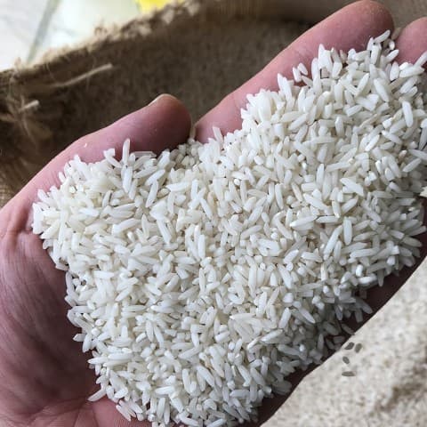 فروش برنج چمپای خوزستان + قیمت خرید به صرفه